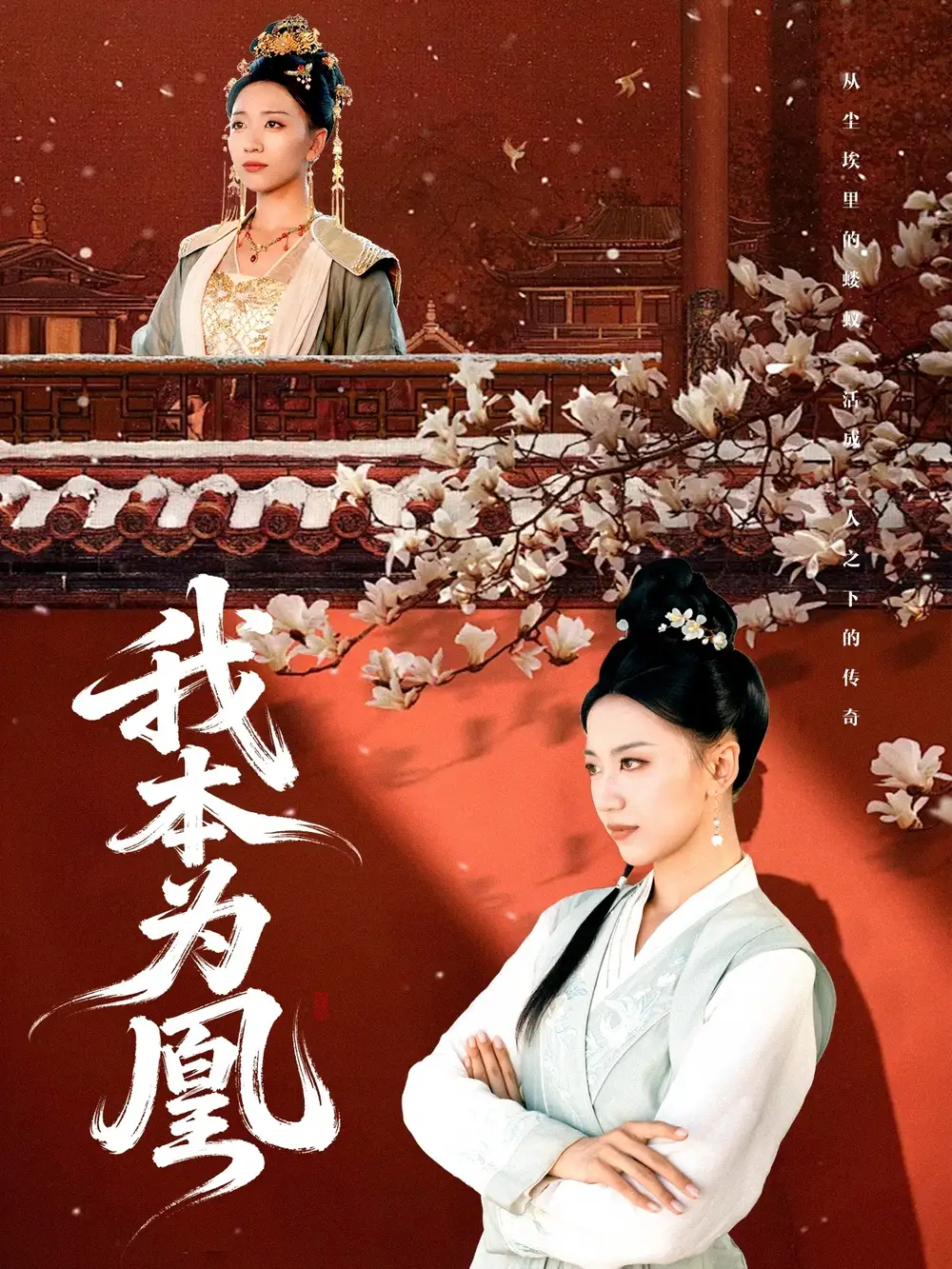 .我本为凰（82集）全集免费在线观看 - 第一搜