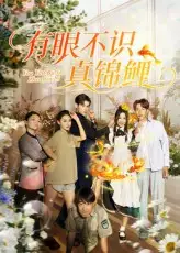 《有眼不识真锦鲤(35集)刘凯&尹玲》短剧全集免费在线观看