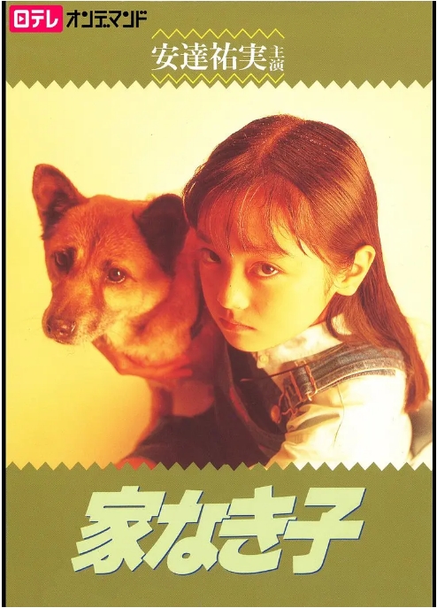 [日剧]《无家可归的小女孩》（1994）电视剧|全集高清免费在线观看