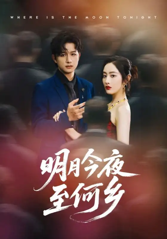 《明月今夜至何乡(70集)》短剧全集免费在线观看