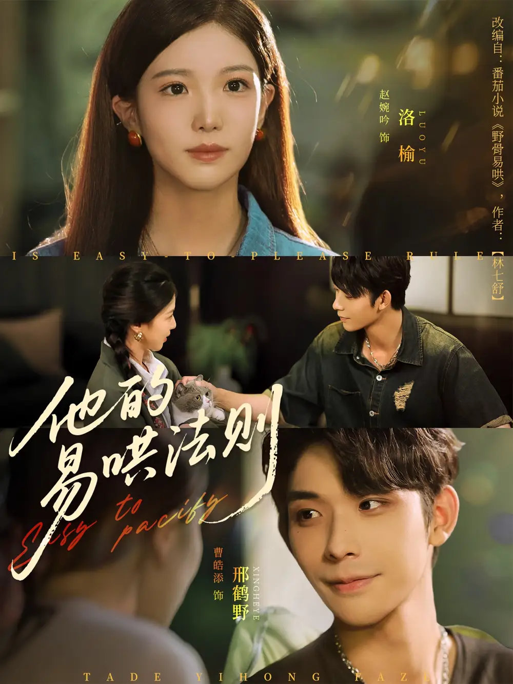 《他的易哄法则(80集)》短剧全集免费在线观看