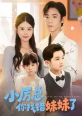 《小厉总你找错妹妹了(52集)》短剧全集免费在线观看