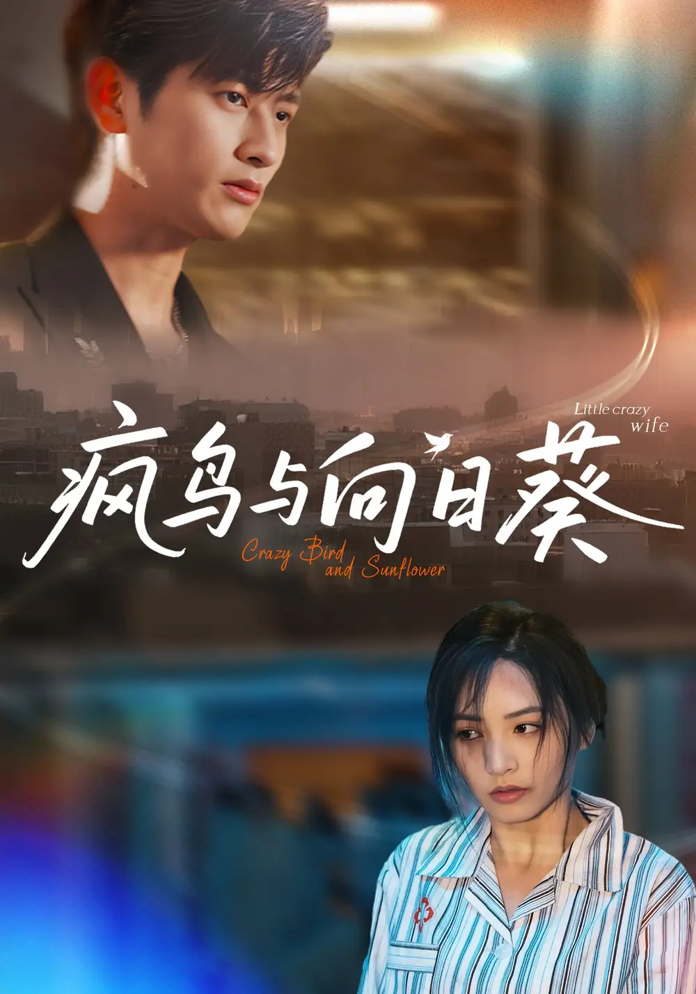 《疯鸟与向日葵(40集)》短剧全集免费在线观看