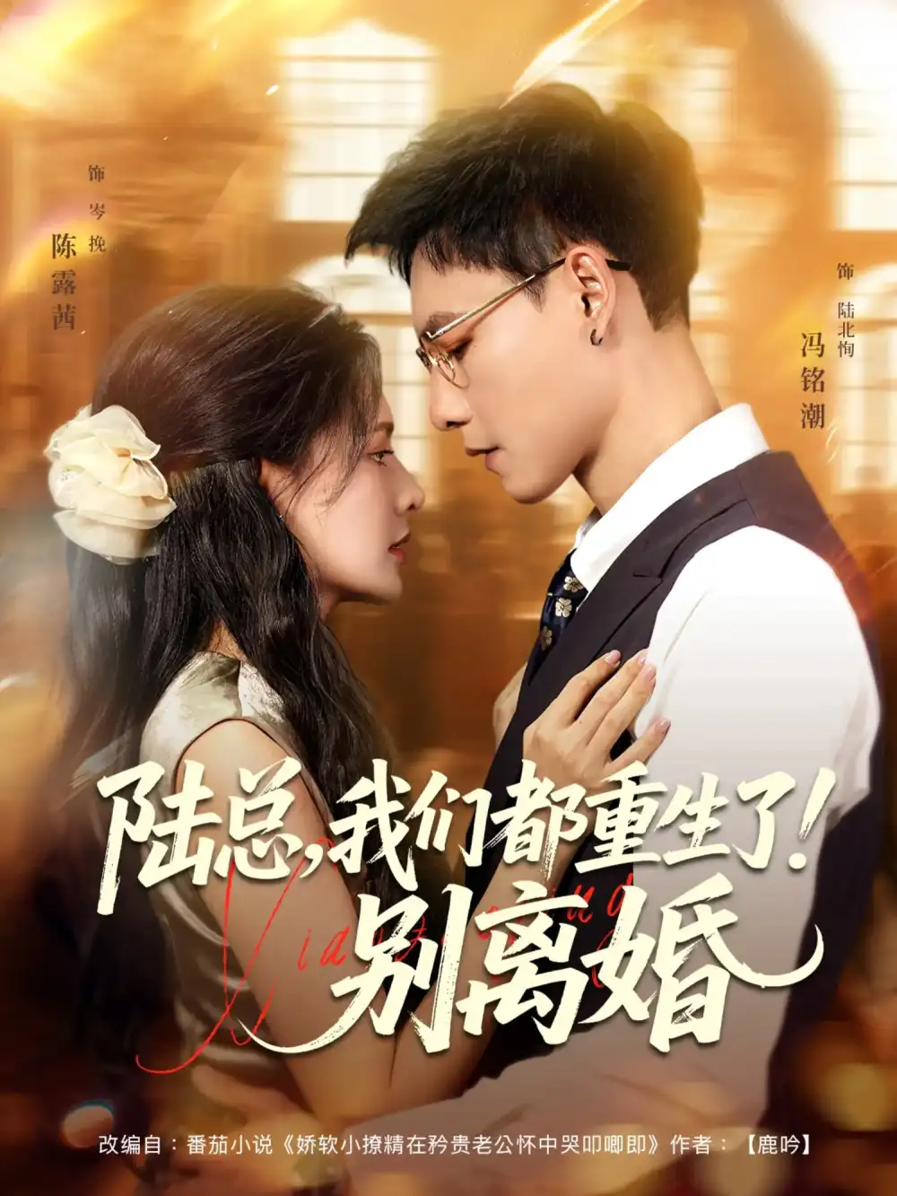陆总我们都重生了！别离婚&陆总我们都重生了别离婚（79集）冯铭潮&陈露茜全集免费在线观看 - 第一搜