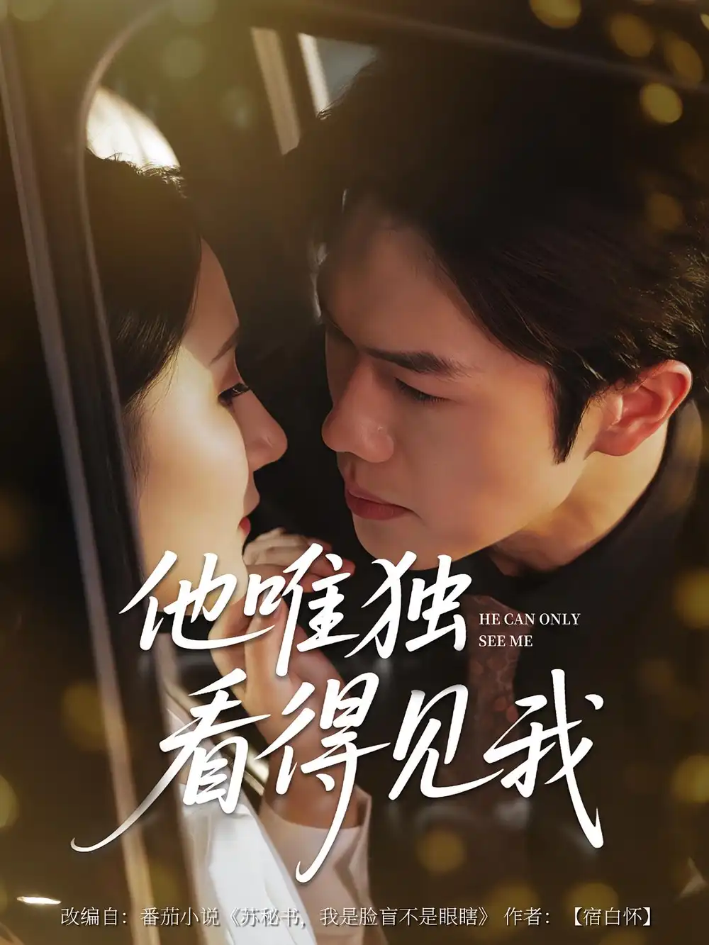 《他唯独看见我(80集)》短剧全集免费在线观看