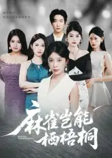 《麻雀岂能栖梧桐(31集)》短剧全集免费在线观看
