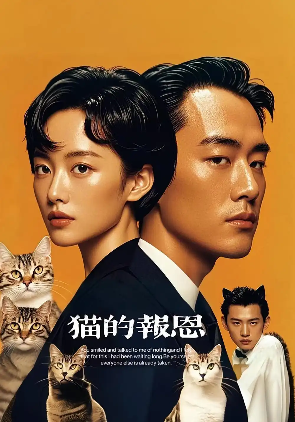 《猫的报恩(60集)》短剧全集免费在线观看