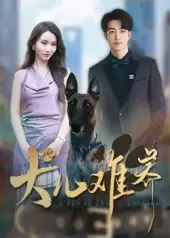 犬儿难养(38集)全集免费在线观看 - 第一搜