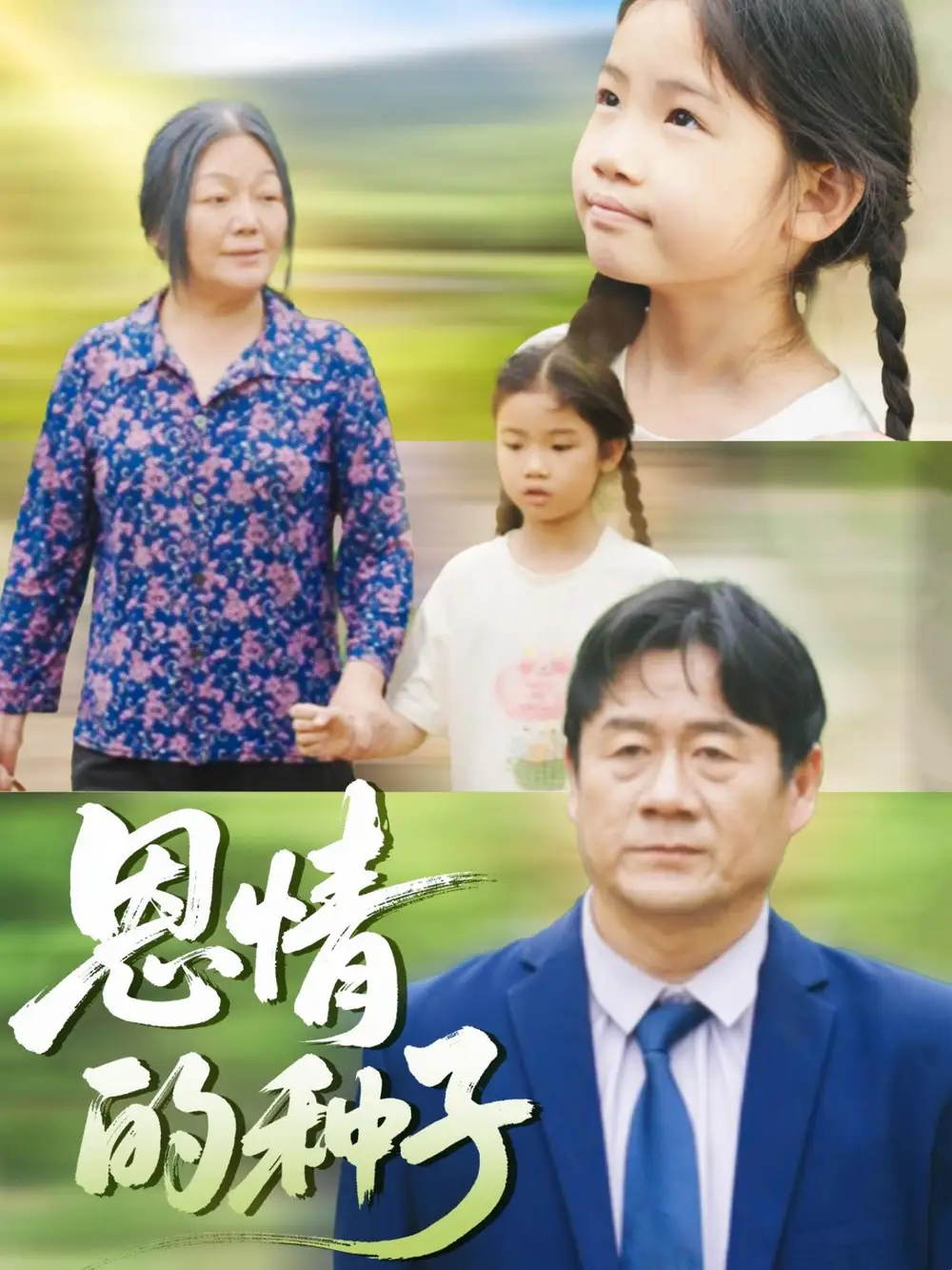 《恩情的种子(29集)》短剧全集免费在线观看