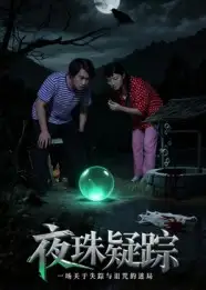夜珠疑踪（30集）全集免费在线观看 - 第一搜