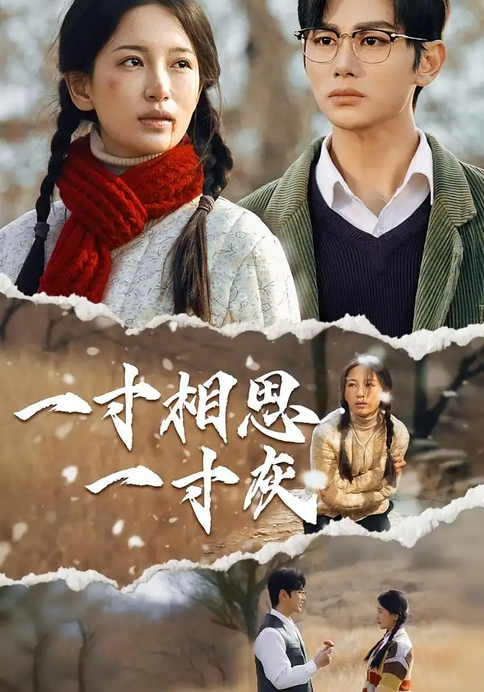 《一寸相思一寸灰(43集)》短剧全集免费在线观看
