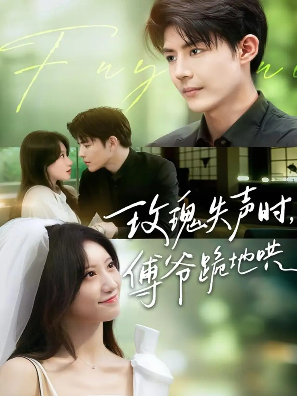 《玫瑰失声时傅爷跪地哄(70集)詹妮&于济玮》短剧全集免费在线观看
