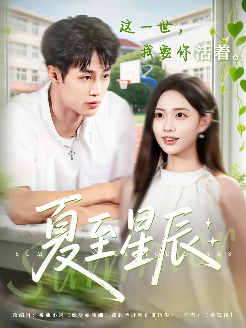 夏至星辰（54集）全集免费在线观看 - 第一搜
