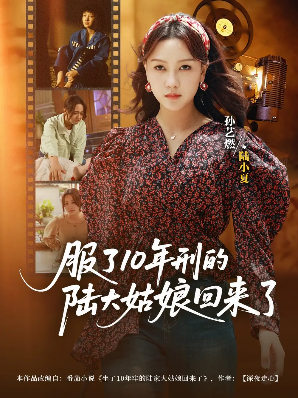 服了10年刑的陆大姑娘回来了（77集）全集免费在线观看 - 第一搜