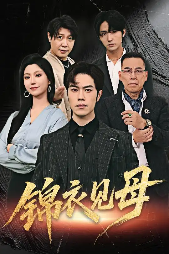锦衣见母（60集）全集免费在线观看 - 第一搜