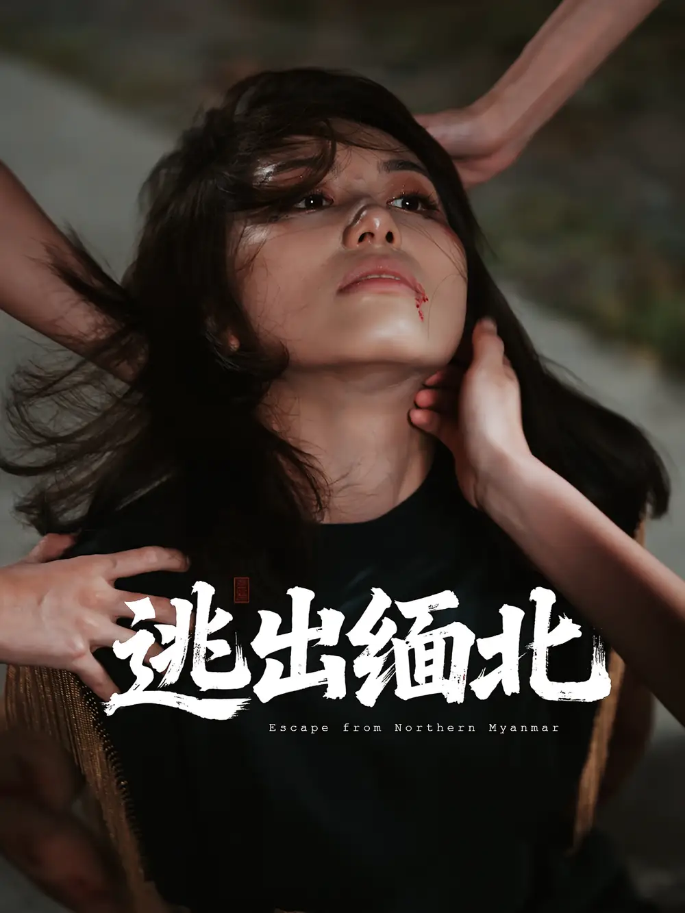 《逃出缅北(62集)刘振安&汪芷萱》短剧全集免费在线观看