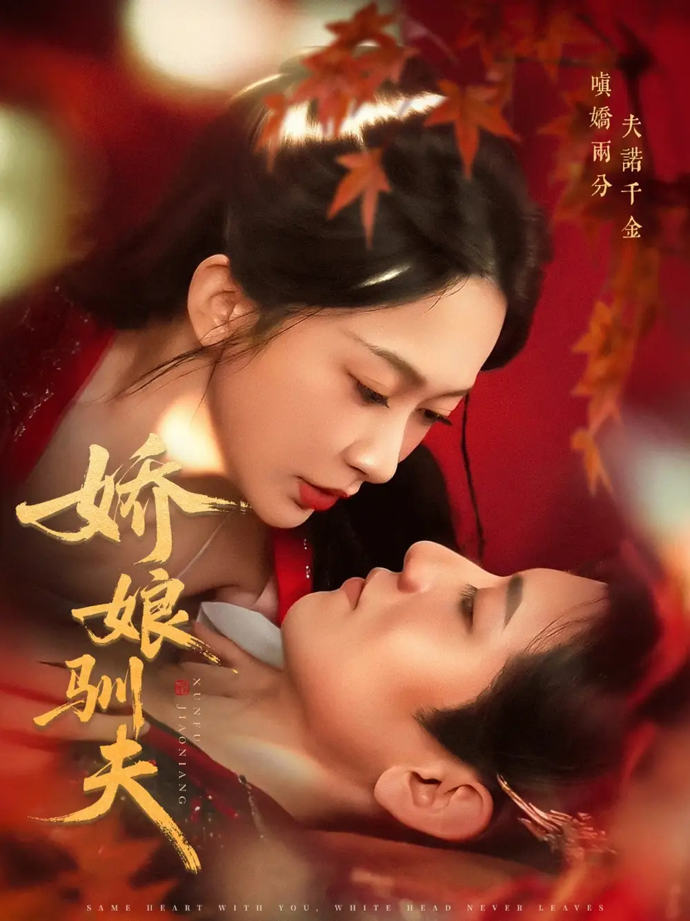 《娇娘驯夫(82集)》短剧全集免费在线观看