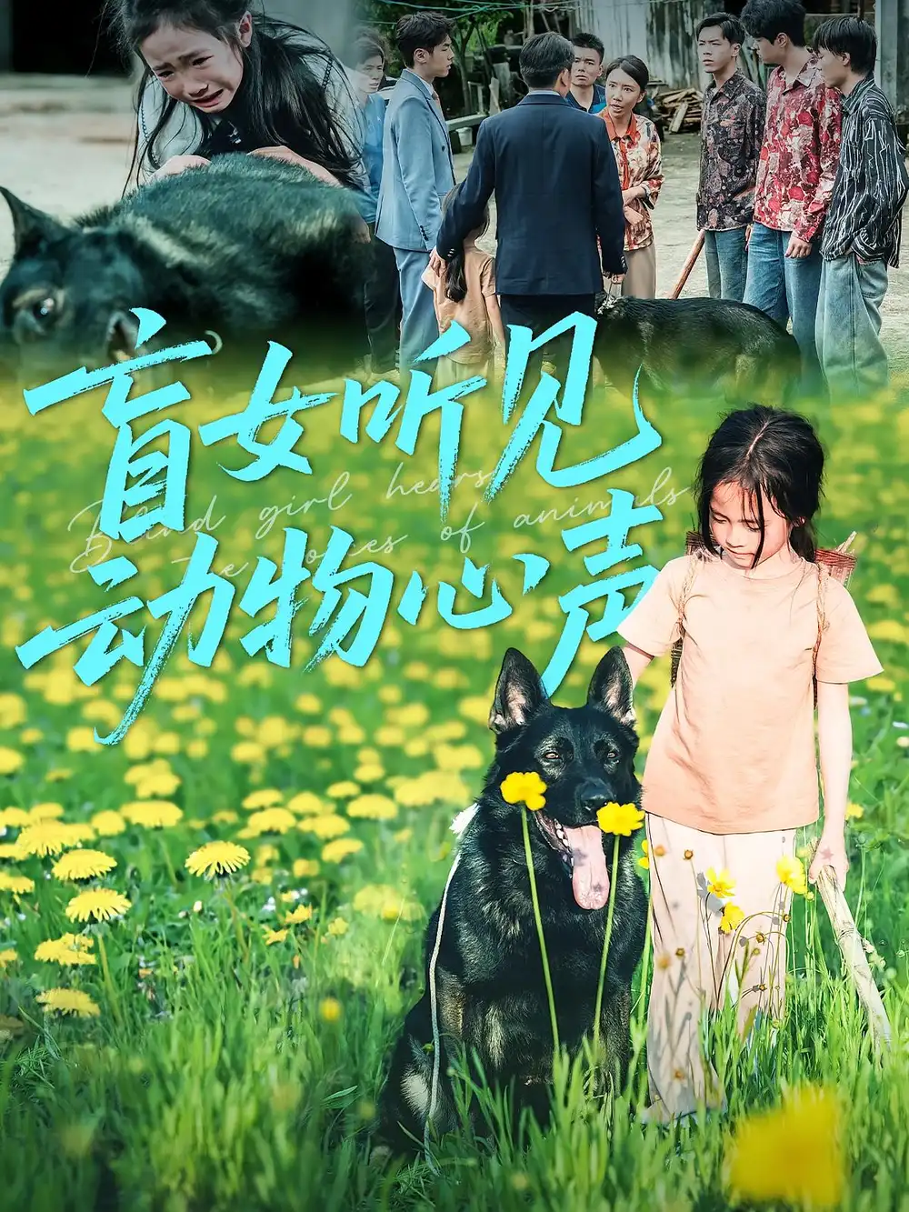 盲女听见动物心声（61集）全集免费在线观看 - 第一搜