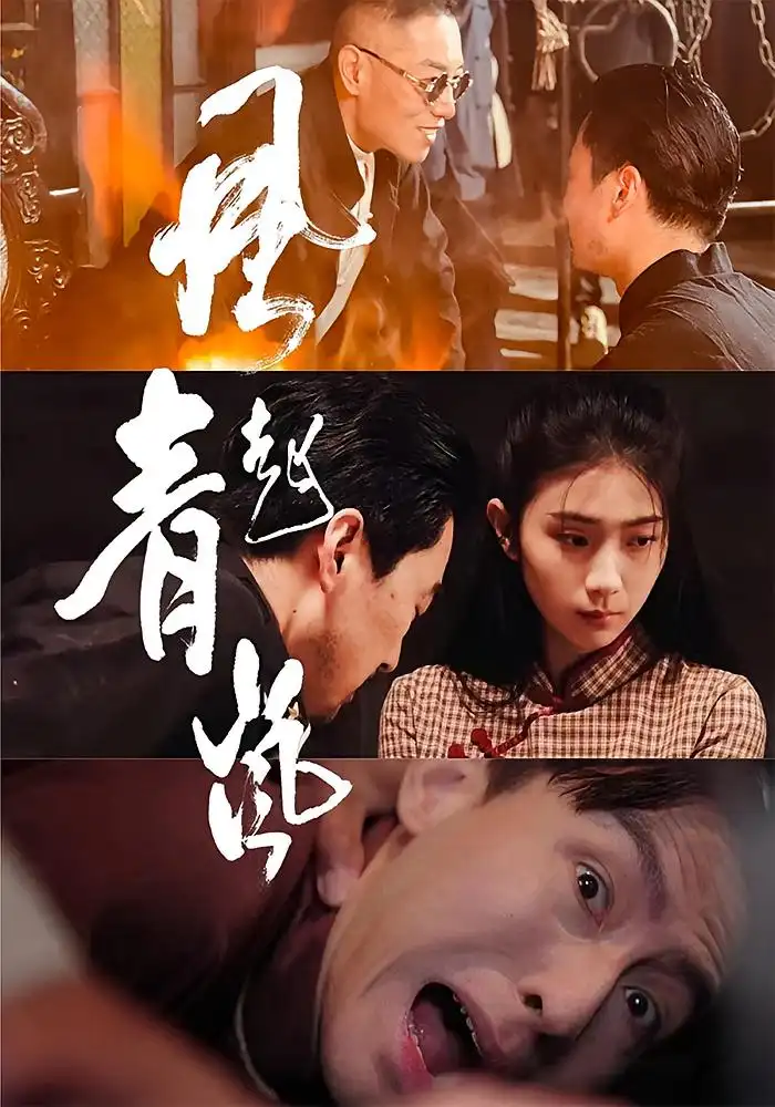 《风起青岚(96集)》短剧全集免费在线观看