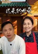 《迟来的母爱(42集)宋军》短剧全集免费在线观看