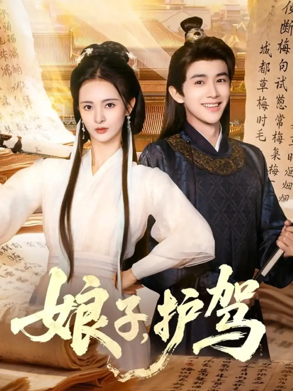 《娘子护驾（73集）》短剧全集免费在线观看