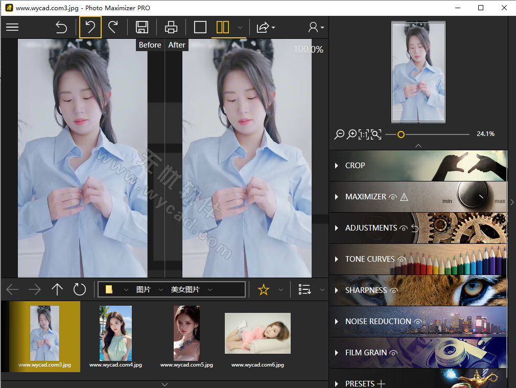 图片无损缩放工具 | InPixio Photo Maximizer Pro v5.3.8626 绿色版