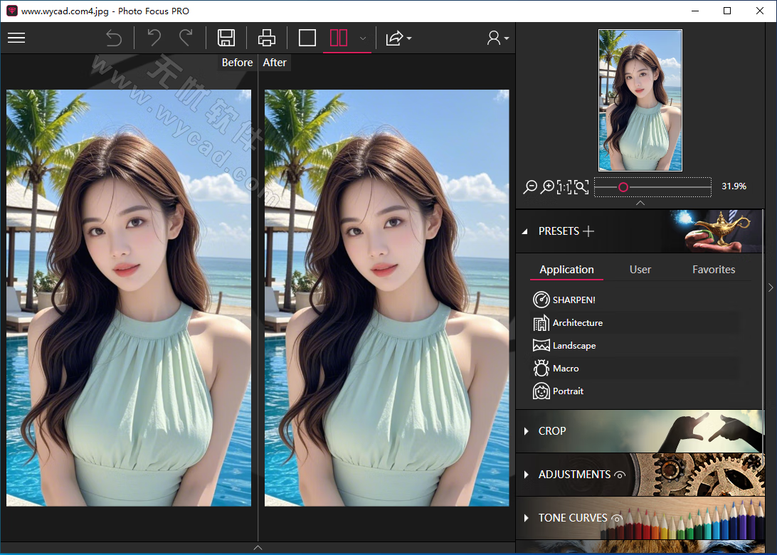 专业照片变清晰软件 | InPixio Photo Focus Pro v4.3.8626 绿色版