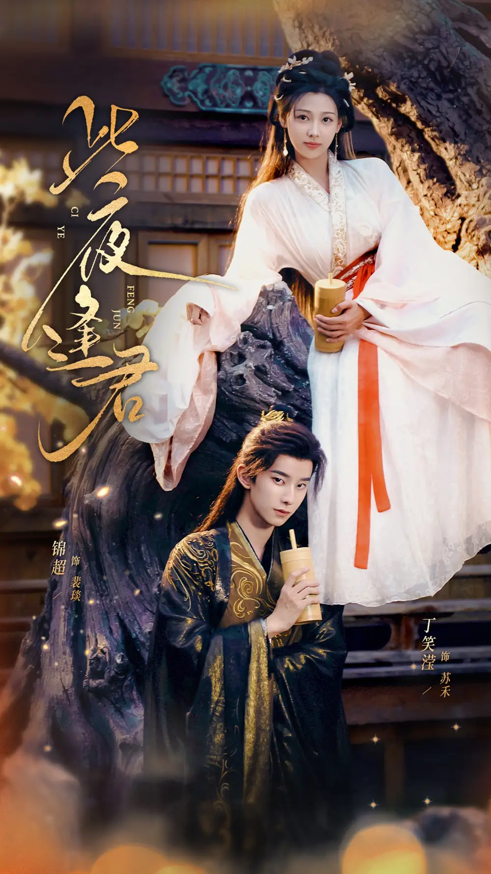 《此夜逢君(76集)》短剧全集免费在线观看