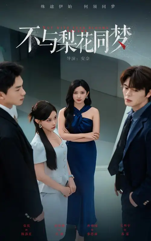 《不与梨花同梦(50集)》短剧全集免费在线观看