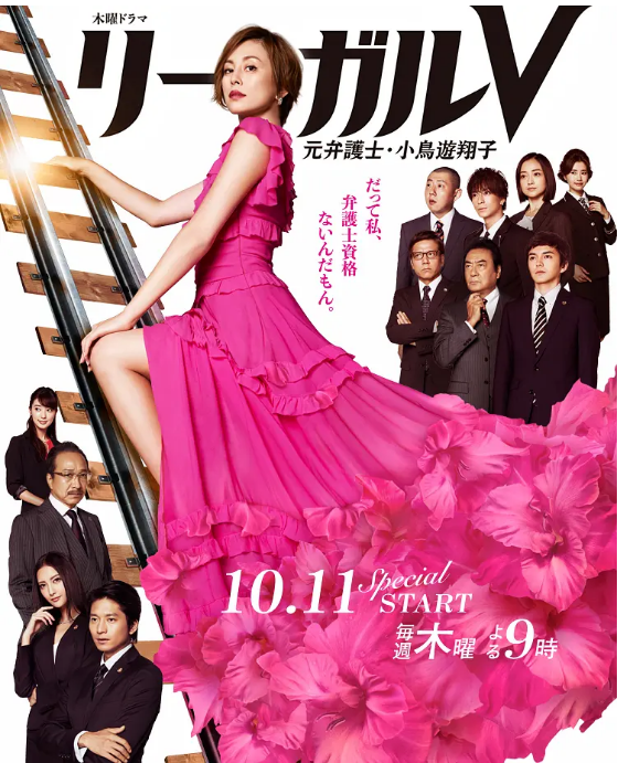 [日剧]《Legal V～前律师·小鸟游翔子》（2018）电视剧|全集高清免费在线观看