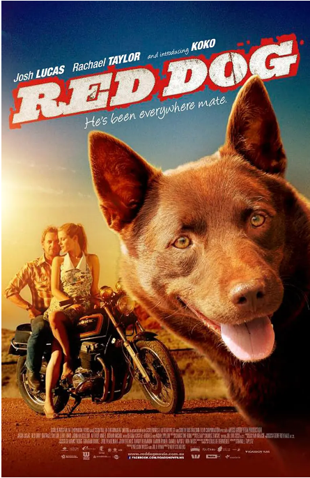 澳大利亚电影《红犬历险记》（2011）电影|全集高清免费在线观看-CD网盘社