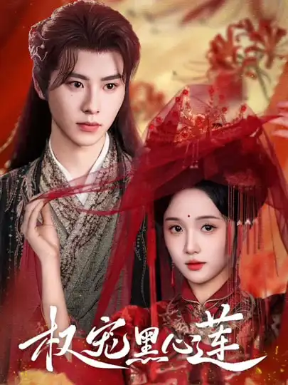 《权宠黑心莲(78集》短剧全集免费在线观看