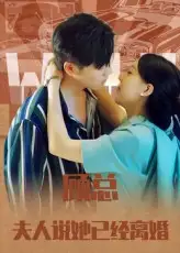 《顾总夫人说她已经离婚(30集)》短剧全集免费在线观看