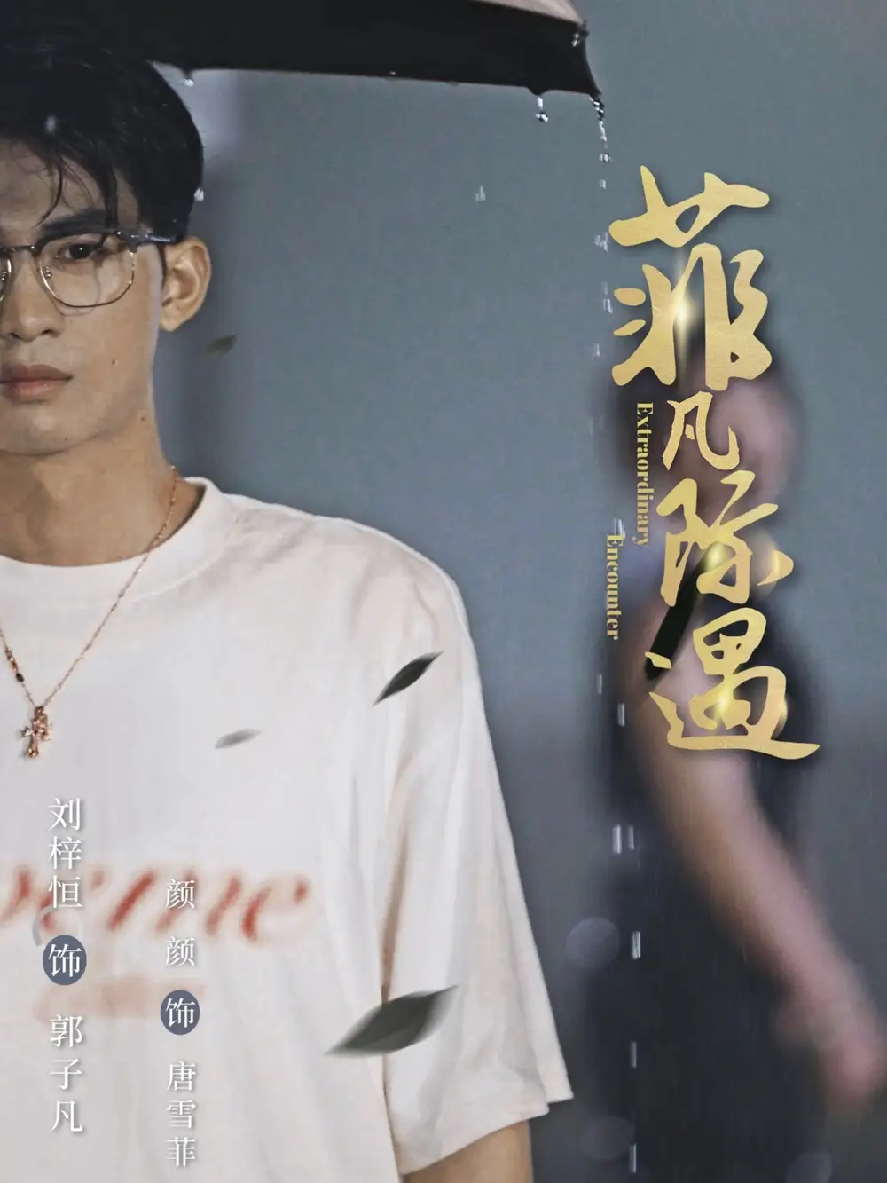 《菲凡际遇(100集)》短剧全集免费在线观看
