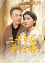 《二十年后来闪婚(60集)》短剧全集免费在线观看