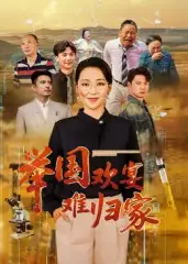 《举国欢宴难归家(40集)》短剧全集免费在线观看