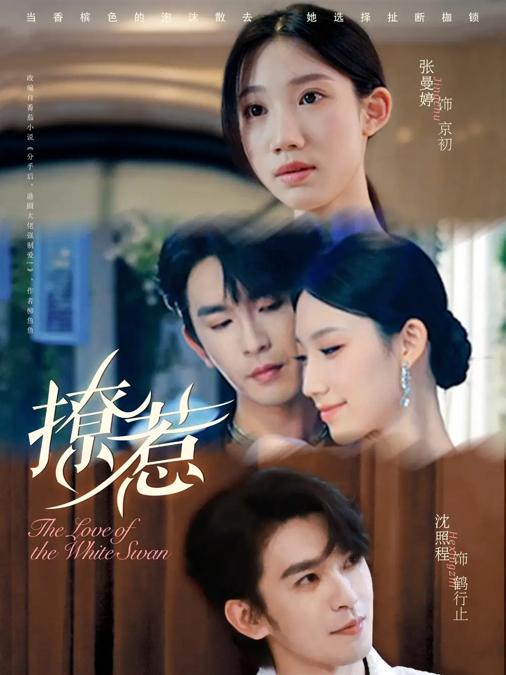《撩惹(80集)》短剧全集免费在线观看