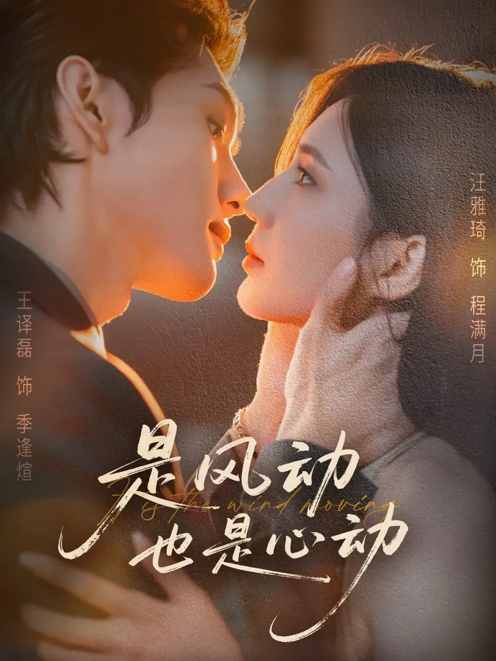 《是风动也是心动（60集）》短剧全集免费在线观看