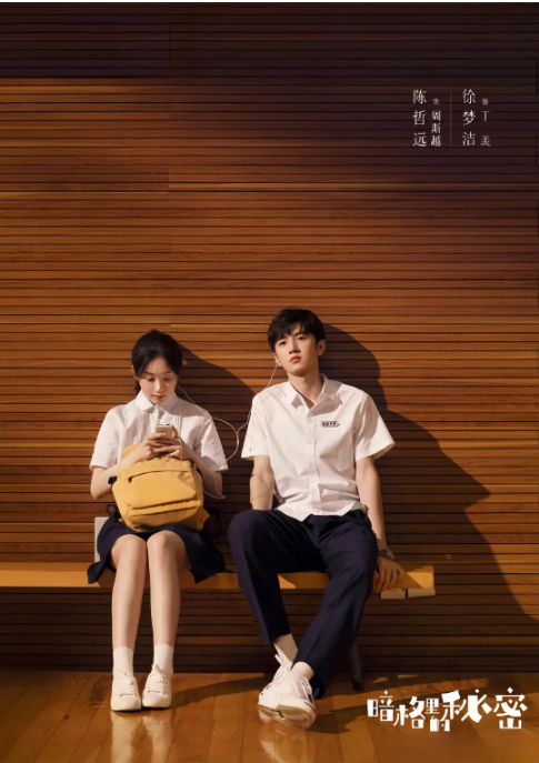 [国剧]《暗格里的秘密》（2021）电视剧|全集高清免费在线观看