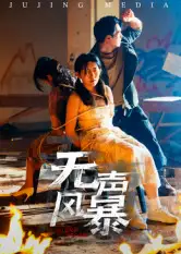 无声风暴(33集)全集免费在线观看 - 第一搜