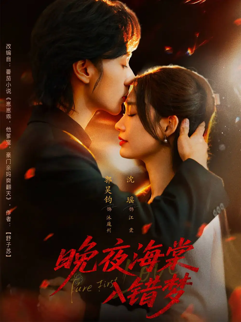 《晚夜海棠入错梦(80集)》短剧全集免费在线观看