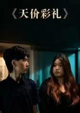 《天价彩礼(20集》短剧全集免费在线观看-CD网盘社