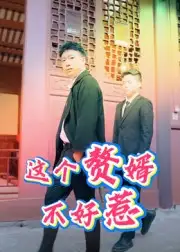 这个赘婿不好惹(27集)全集免费在线观看 - 第一搜