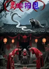 《灵蛇报恩(30集)》短剧全集免费在线观看-CD网盘社