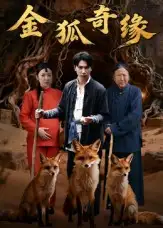 《金狐奇缘(42集)》短剧全集免费在线观看-CD网盘社