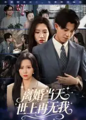 《离婚当天世上再无我(60集)》短剧全集免费在线观看