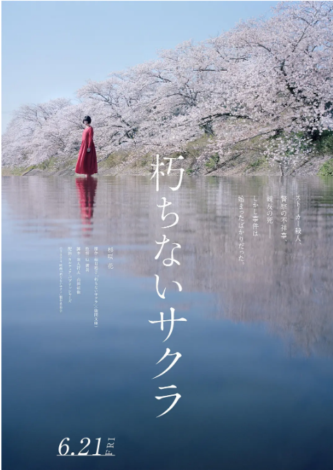 日本电影《不朽的樱花》(2024)电影|全集高清免费在线观看