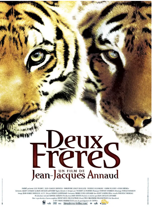 法国电影《虎兄虎弟》（2004）电影|全集高清免费在线观看-CD网盘社