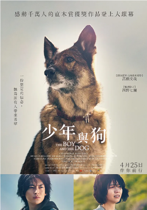 日本电影《少年与犬》(2025)电影|全集高清免费在线观看
