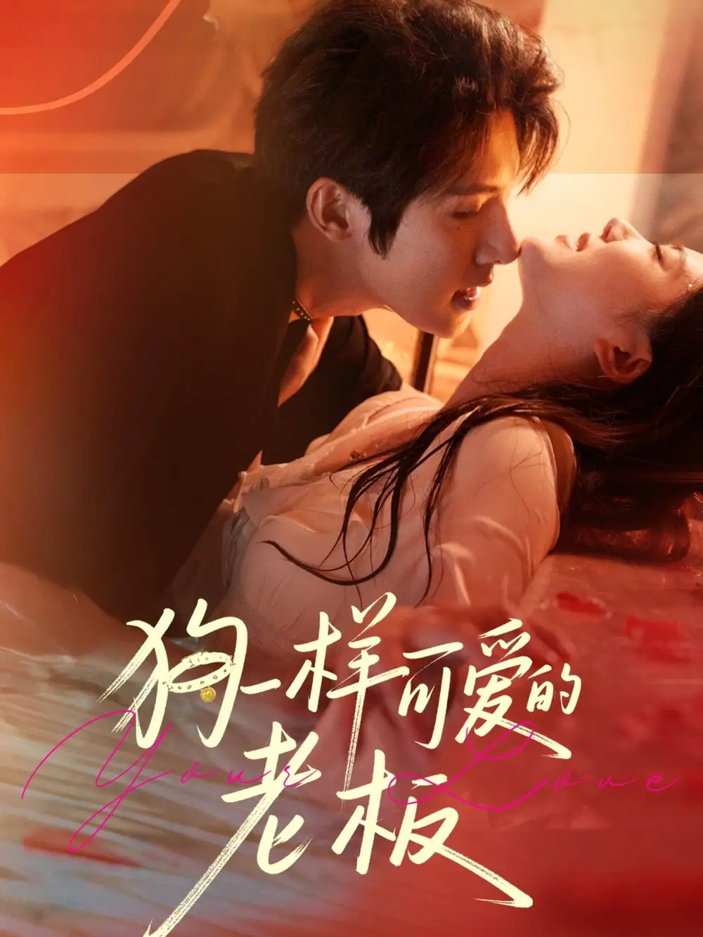 《狗一样可爱的老板(63集)》短剧全集免费在线观看